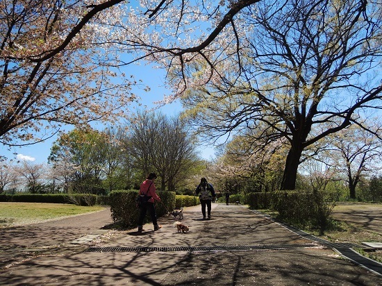 190415_190411.jpg