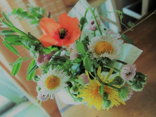 190418_01.jpg
