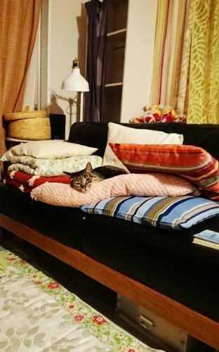 190523_01.jpg
