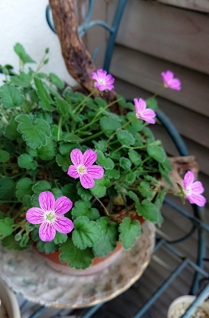 190525_01.jpg