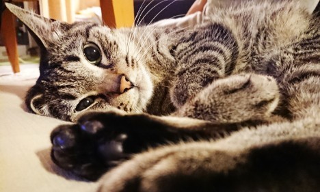 190606_01.jpg