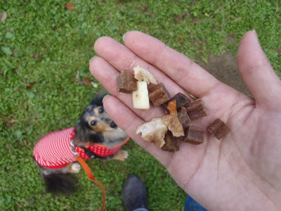 121004_08.jpg