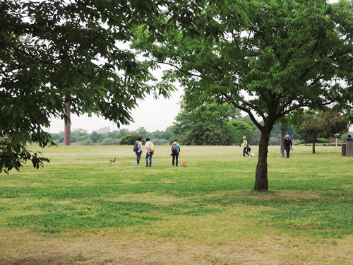 150507_01.jpg