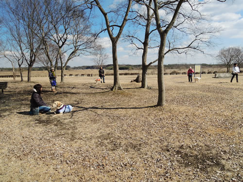 160311_01.jpg
