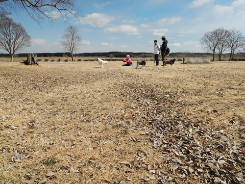 160311_02.jpg