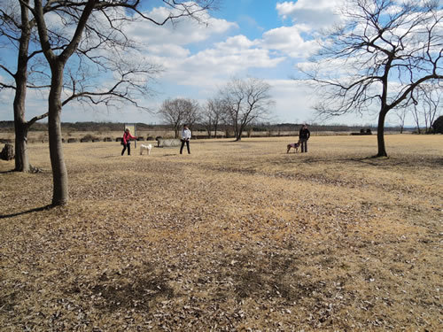 160311_04.jpg