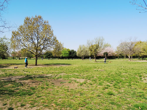 160412_03.jpg