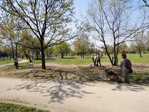 160412__01.jpg