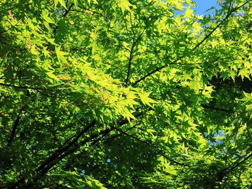 160525_01.jpg