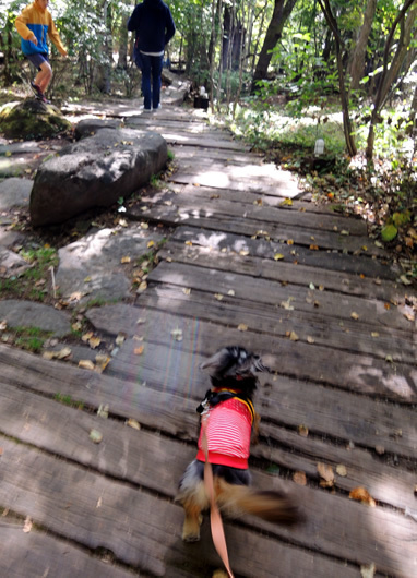 161019_02.jpg