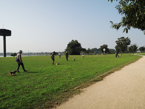 161029_01.jpg