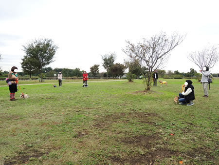 161102_02.jpg