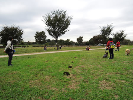 161102_03.jpg