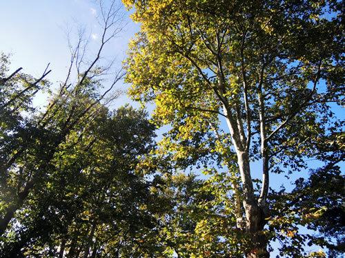 161104_01.jpg