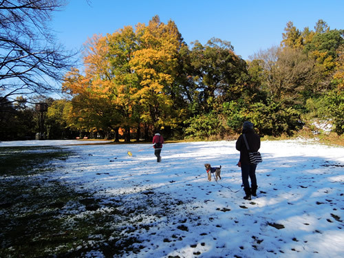 161125_03.jpg