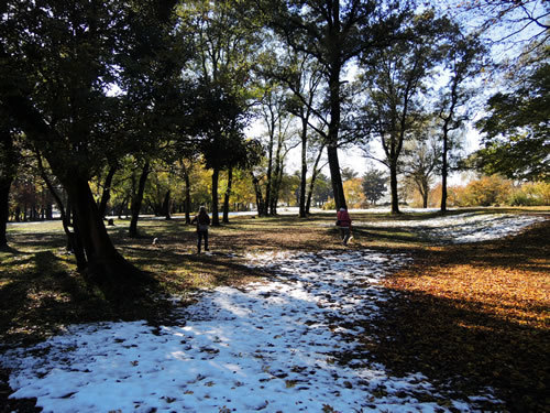 161125_04.jpg