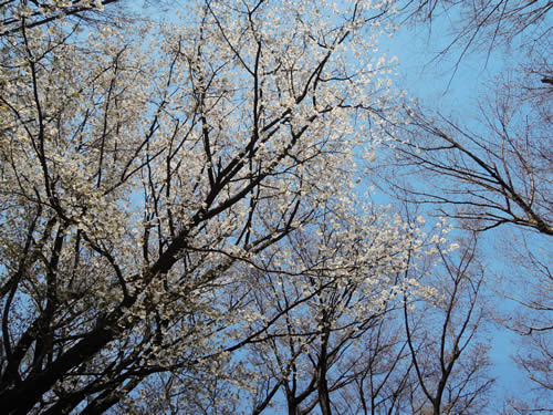 170406_01.jpg