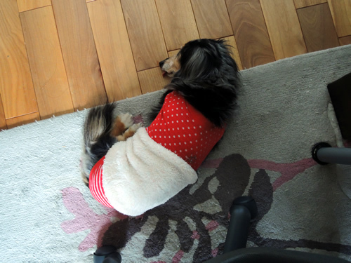 170406_02.jpg