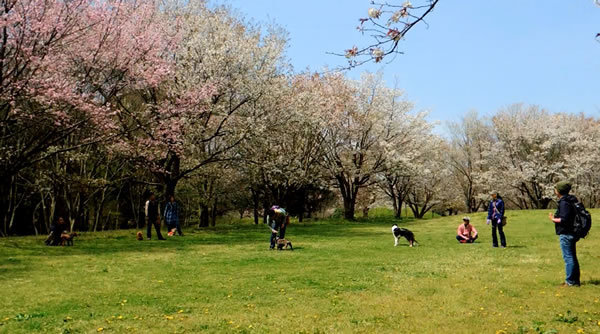 170415_03.jpg