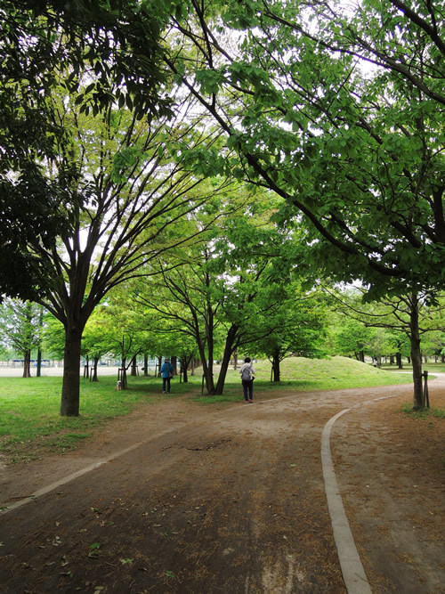 170426_01.jpg