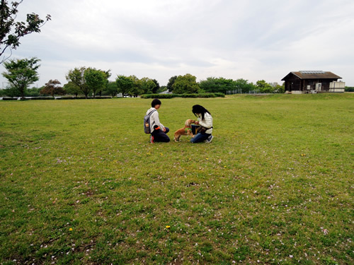 170426_03.jpg