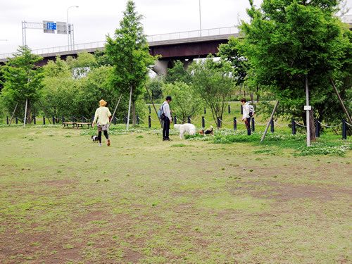 170517_01.jpg