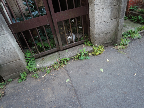 170607_01.jpg