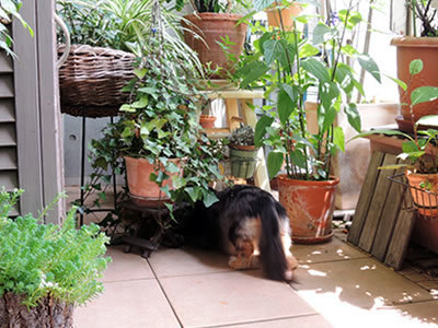 170628_01.jpg