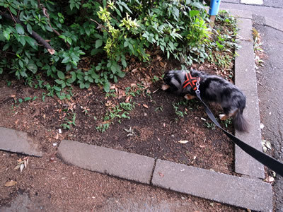 170909_01.jpg