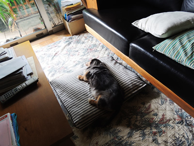 170911_01.jpg