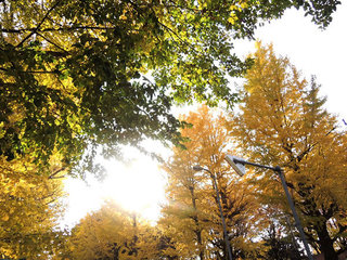 171128_01.jpg
