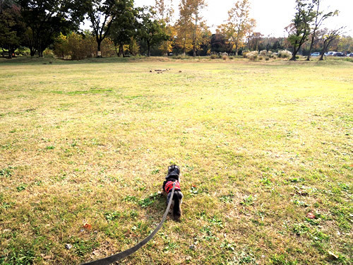 171204_03.jpg