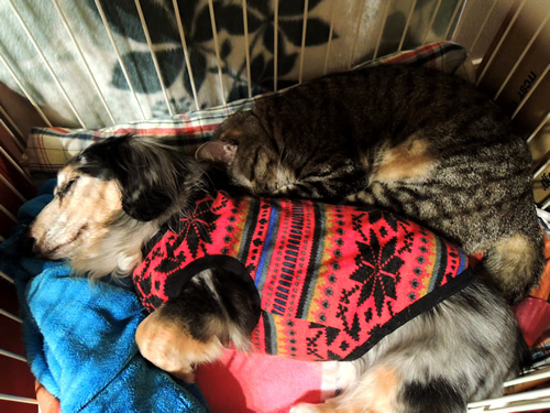 171208_01.jpg