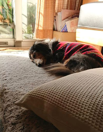 171216_01.jpg