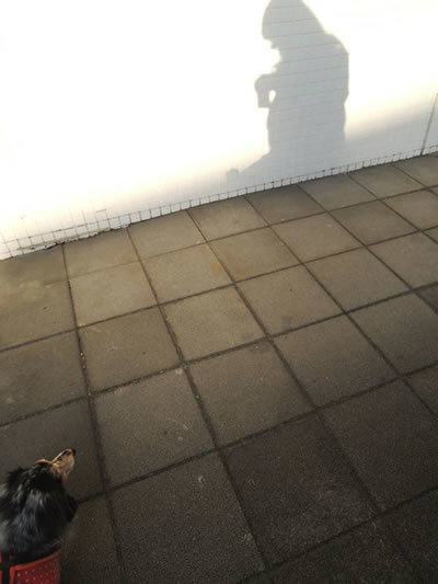 171216_02.jpg