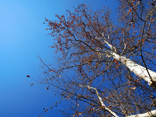 171220_01.jpg