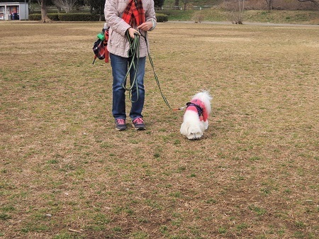 180221_03.jpg