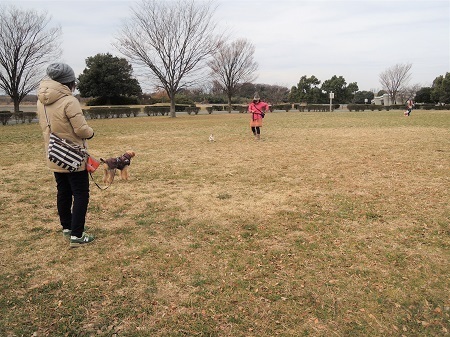 180222_01.jpg