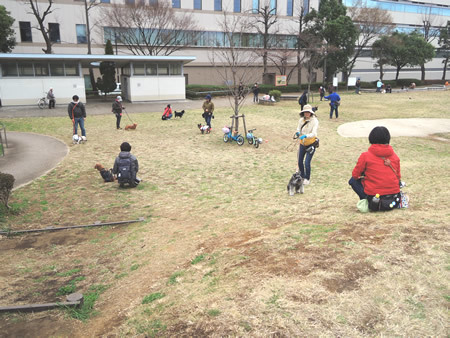 180319_02.jpg