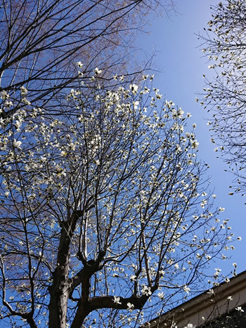 180323_03.jpg