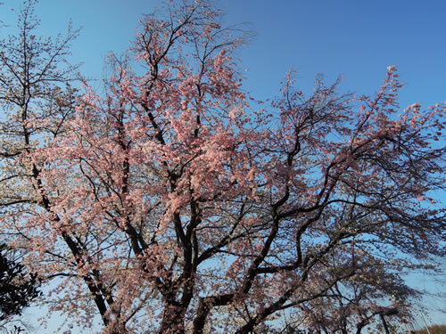 180325_03.jpg