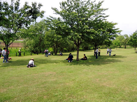 180430_01.jpg