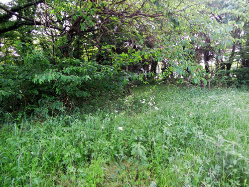 180501_01.jpg