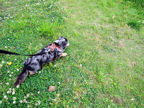 180502_01.jpg