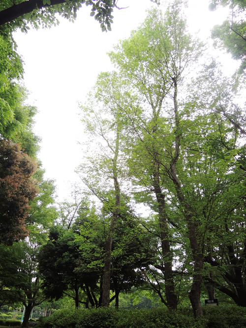 180502_03.jpg