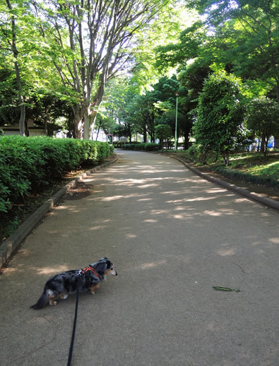 180504_01jpg.jpg