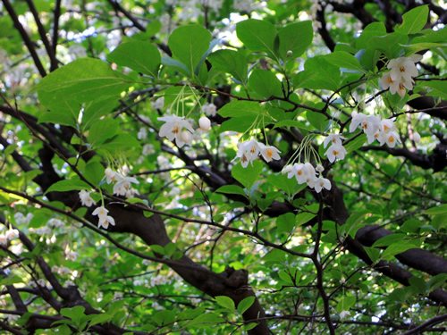 180505_02.jpg