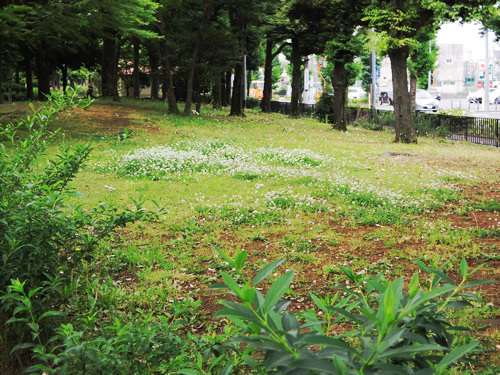 180506_01.jpg