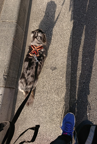 180510_01.jpg