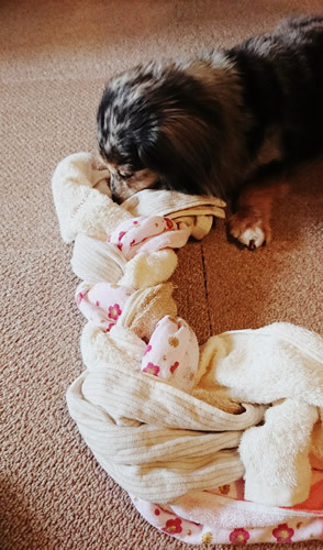 180518_01.jpg